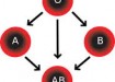 کشف شیوه ای برای تغییر گروه های خونی