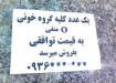 کلیه‌هایی که یک میلیارد می‌ارزند!