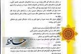 هم افزایی در راستای ارتقا بهره وری